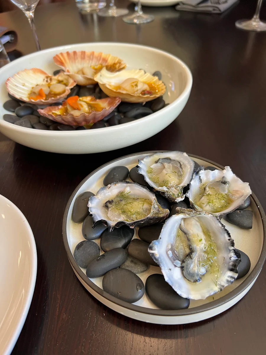Oysters, Cinder
