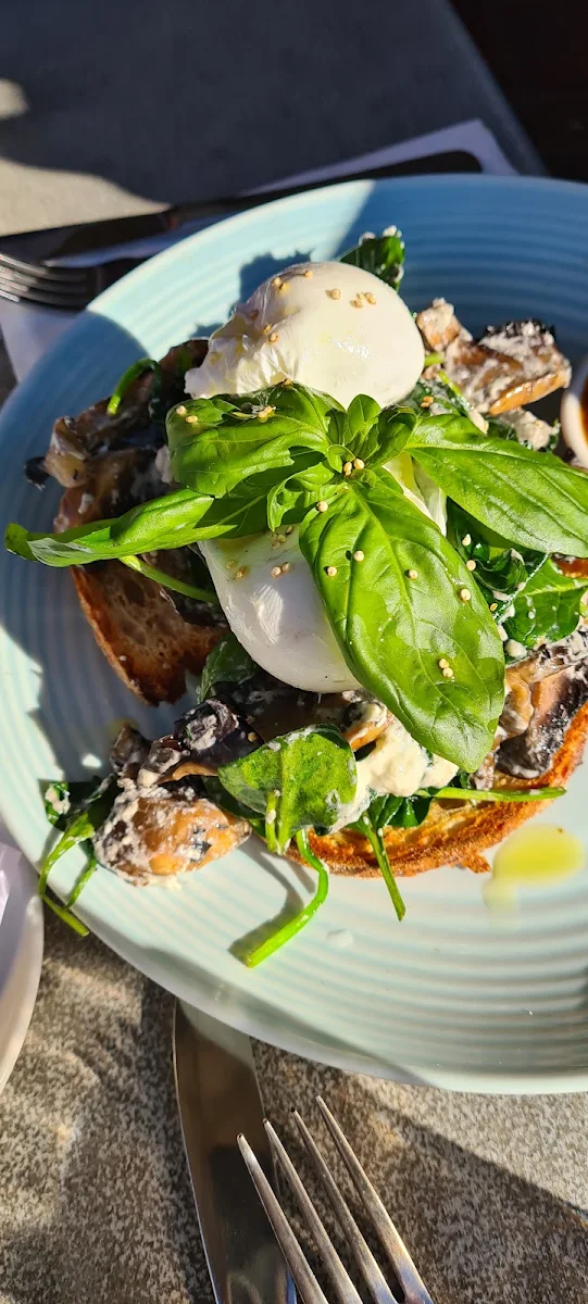 Highlights, Cafe Arno