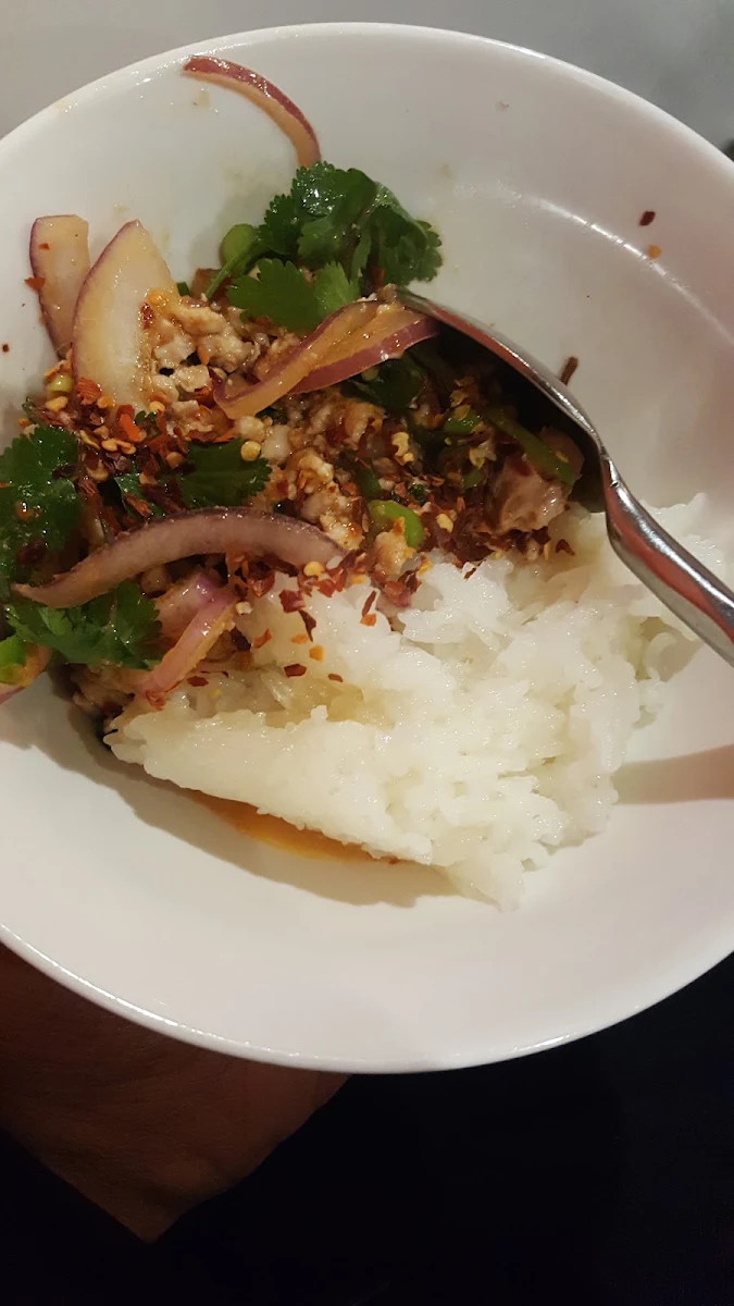Spicy Chicken Salad with Sticky Rice
