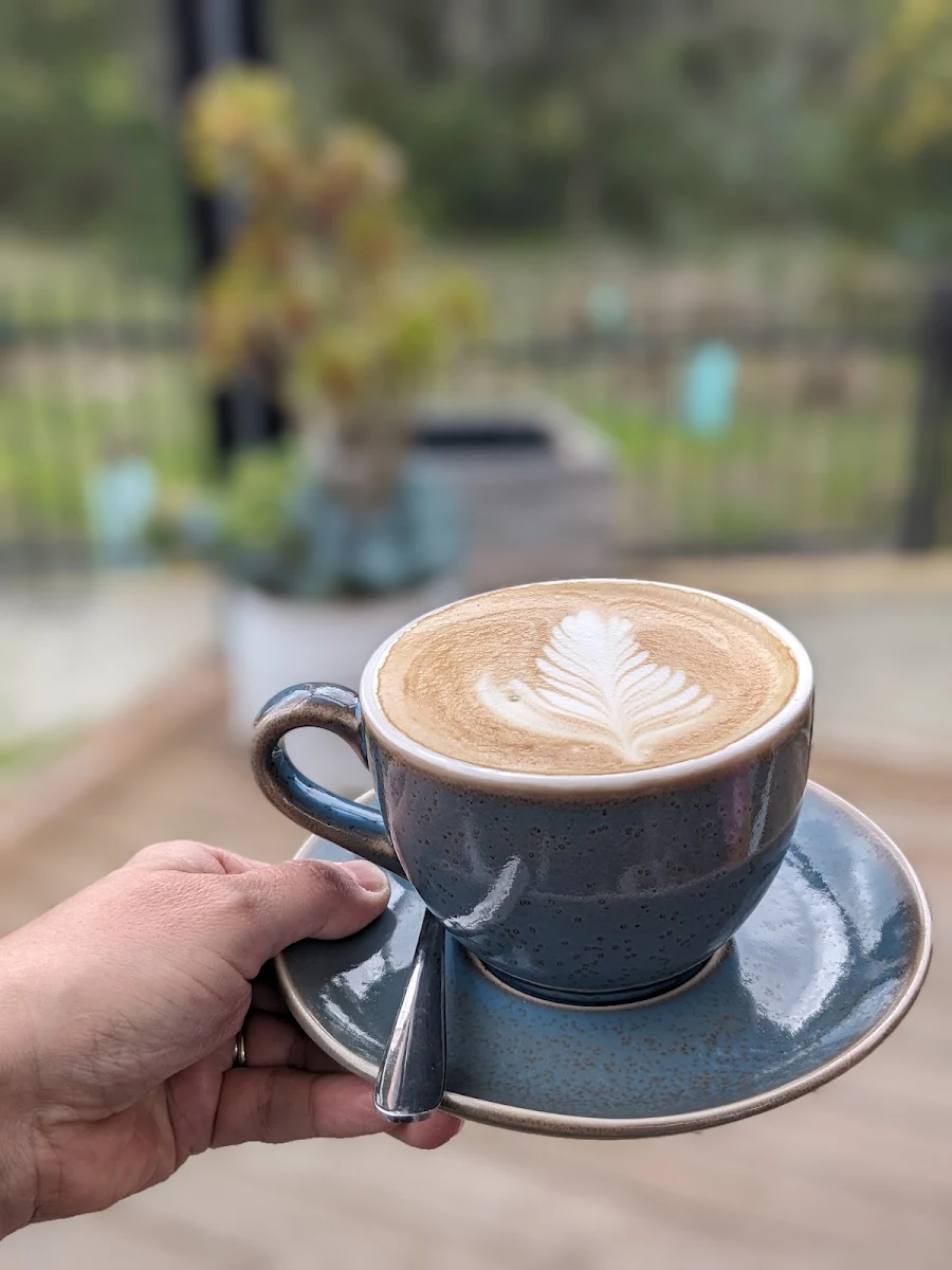 Coffee, Artiga Specialty Coffee