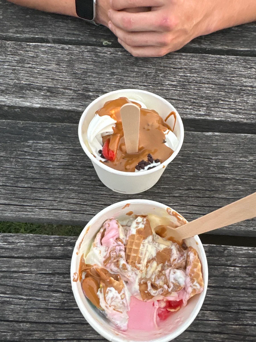 Highlights, Carousel Ice-Cream, Cake and FroYo/Acai
