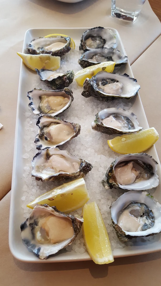 Fresh Oysters