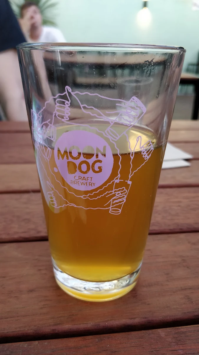 Highlights, Moon Dog World