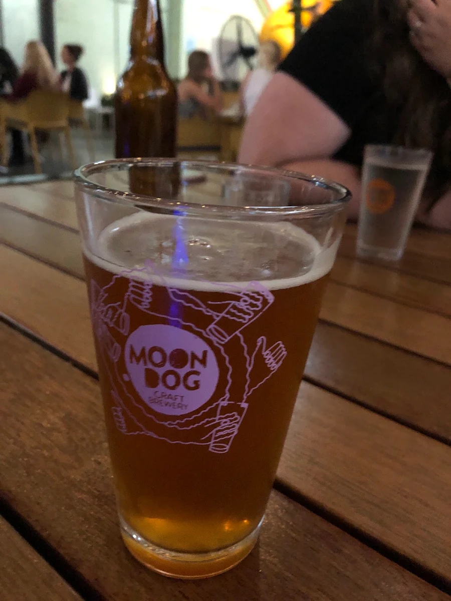 Highlights, Moon Dog World