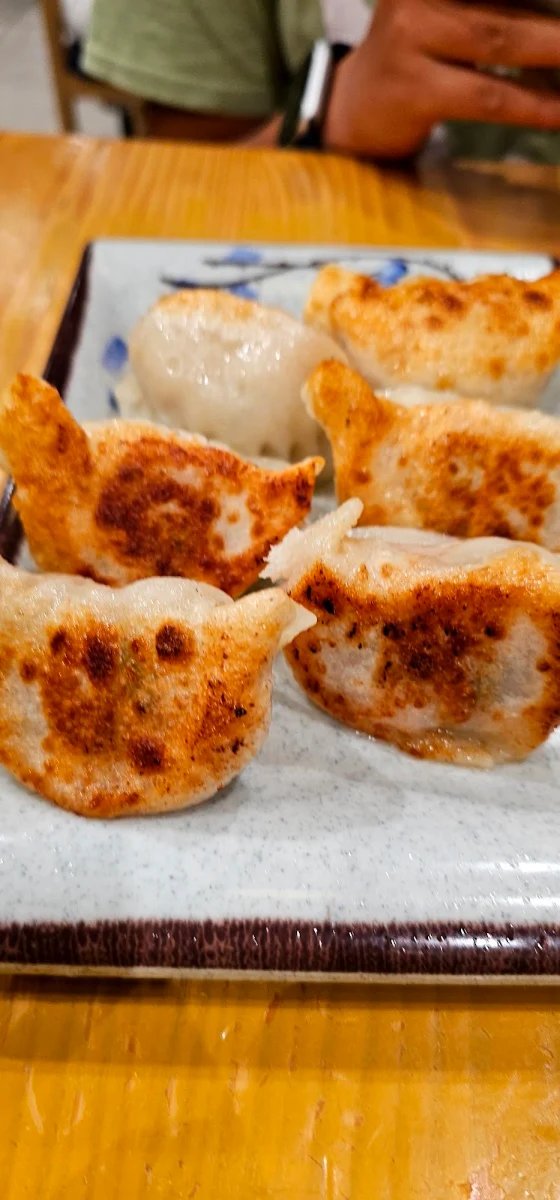 Fried Dumplings, Ms Dumpling Castle Hill