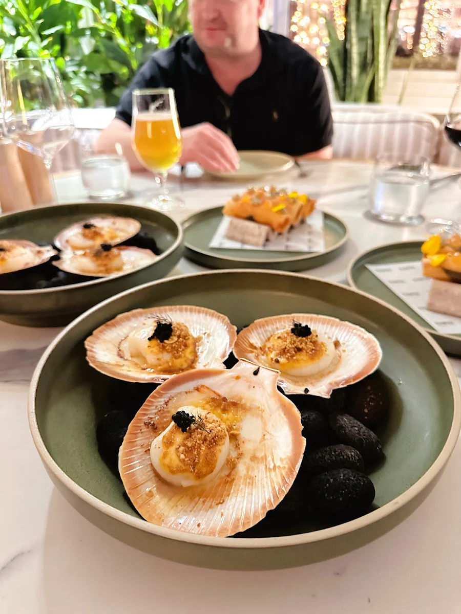 Scallops, Blowfish Seafood ★ Steak ★ Bar