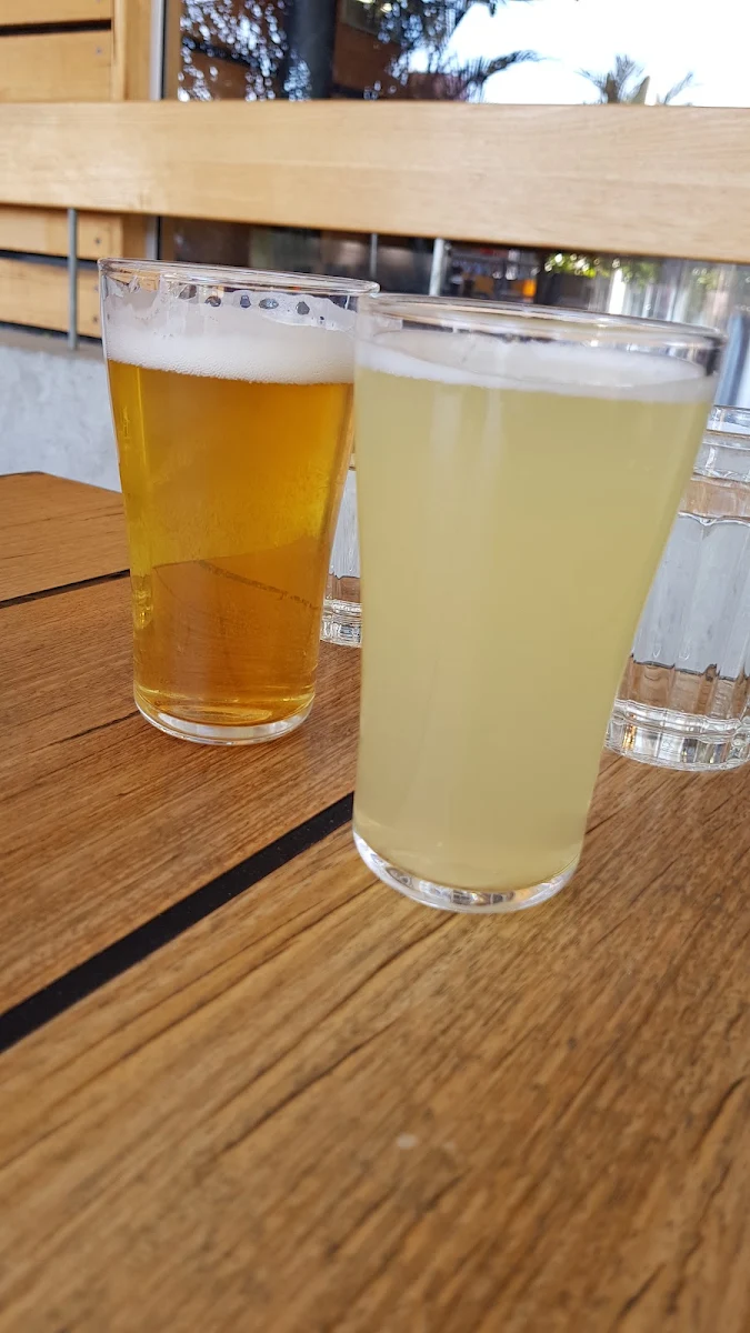 House Cider, The Sporting Globe x 4 Pines - King Street Wharf