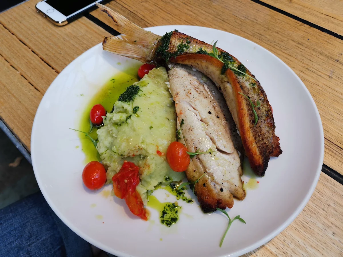 Snapper, The Sporting Globe x 4 Pines - King Street Wharf
