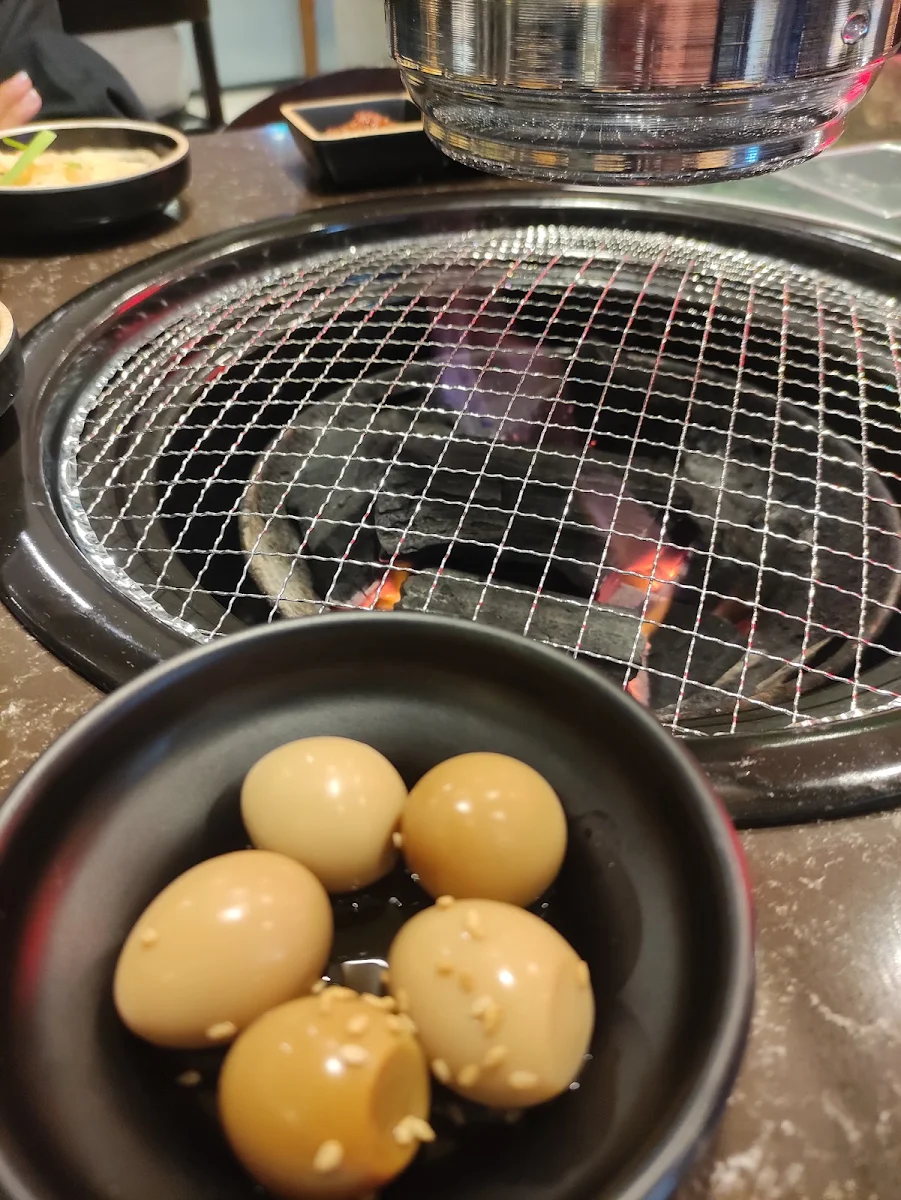 Highlights, The Yook Chatswood