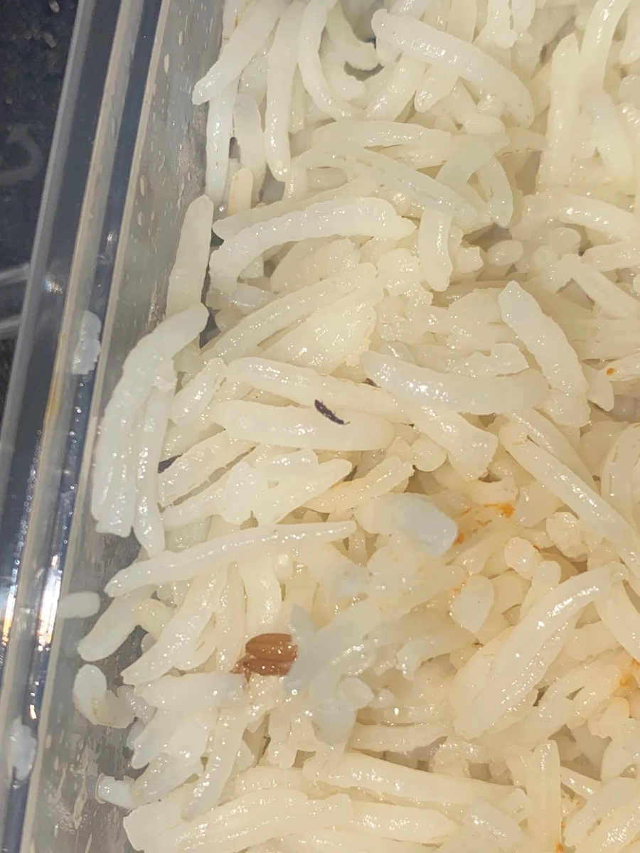 Rice, Mahendra's Indian Cuisine