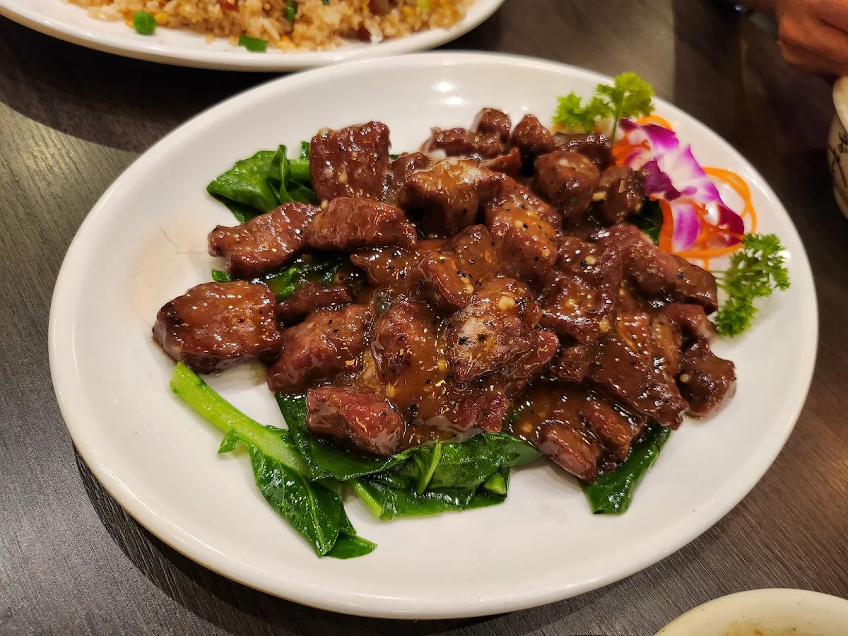 Angus Beef, Dumplings Plus Northland