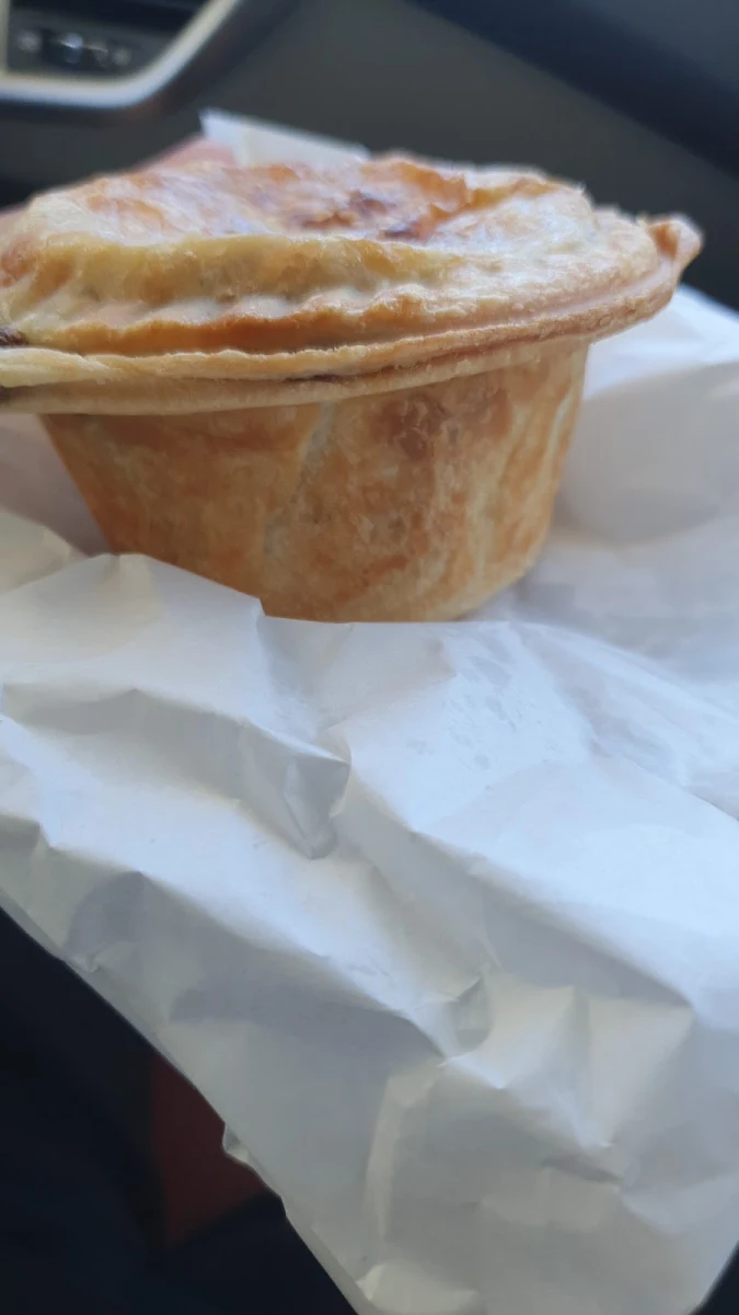 Steak N Cheese Pie