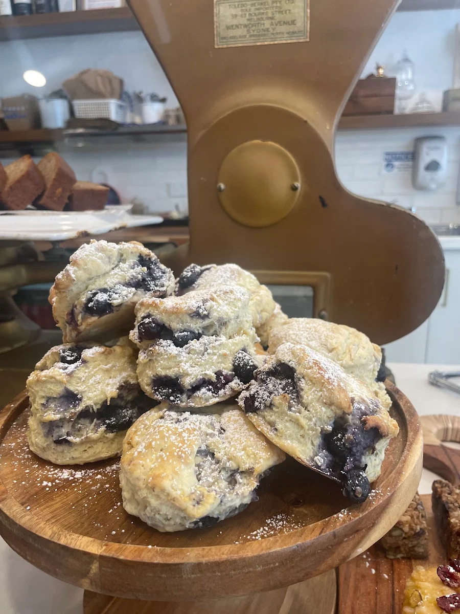 Highlights, The Daily Cafe and Foodstore