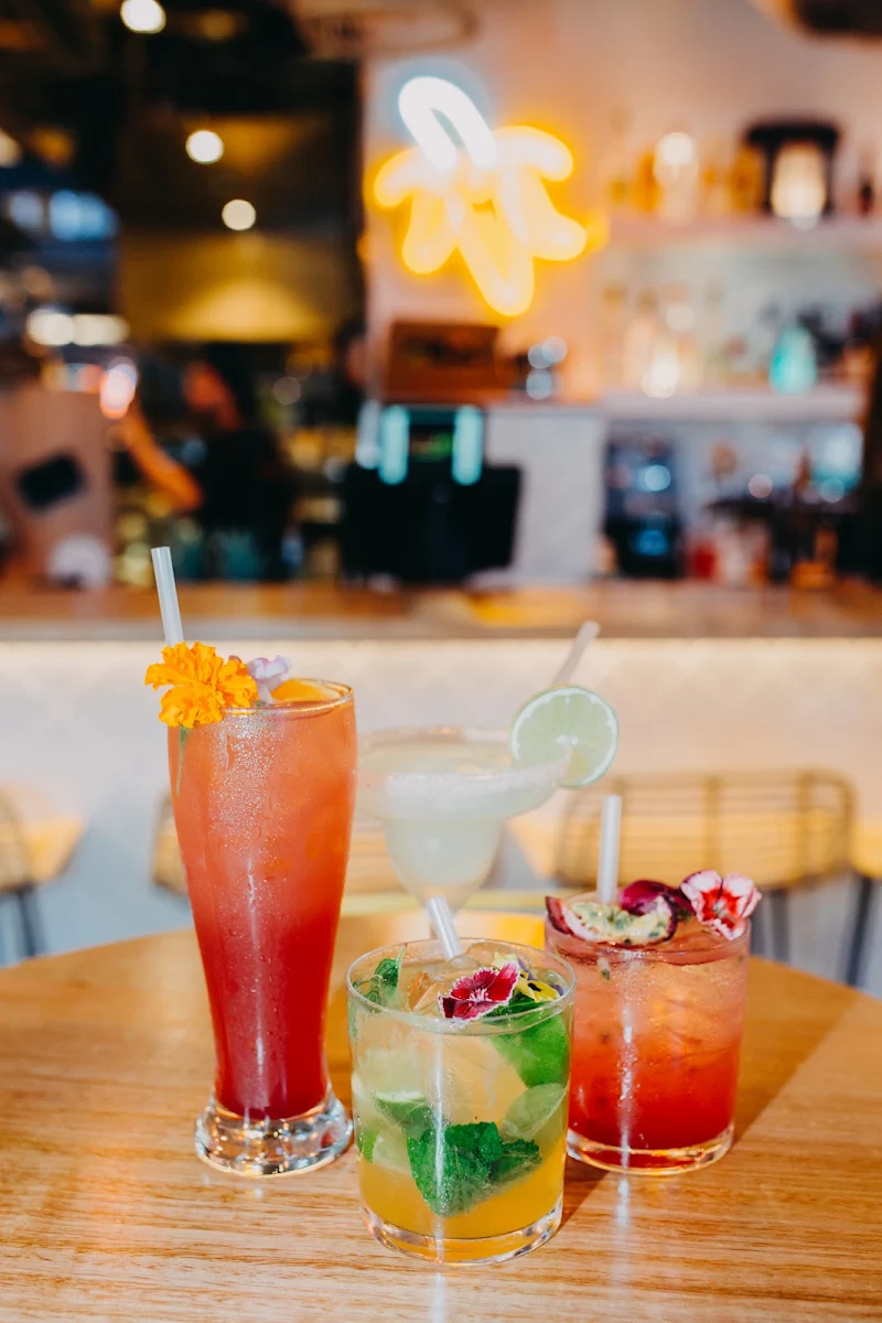 Highlights, La Cha Cha Cabana