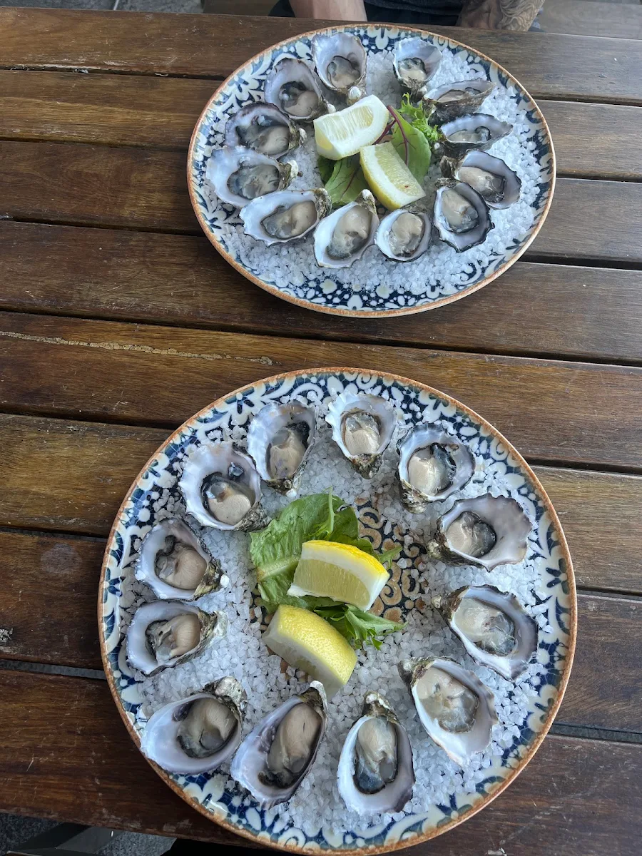 Oysters Natural