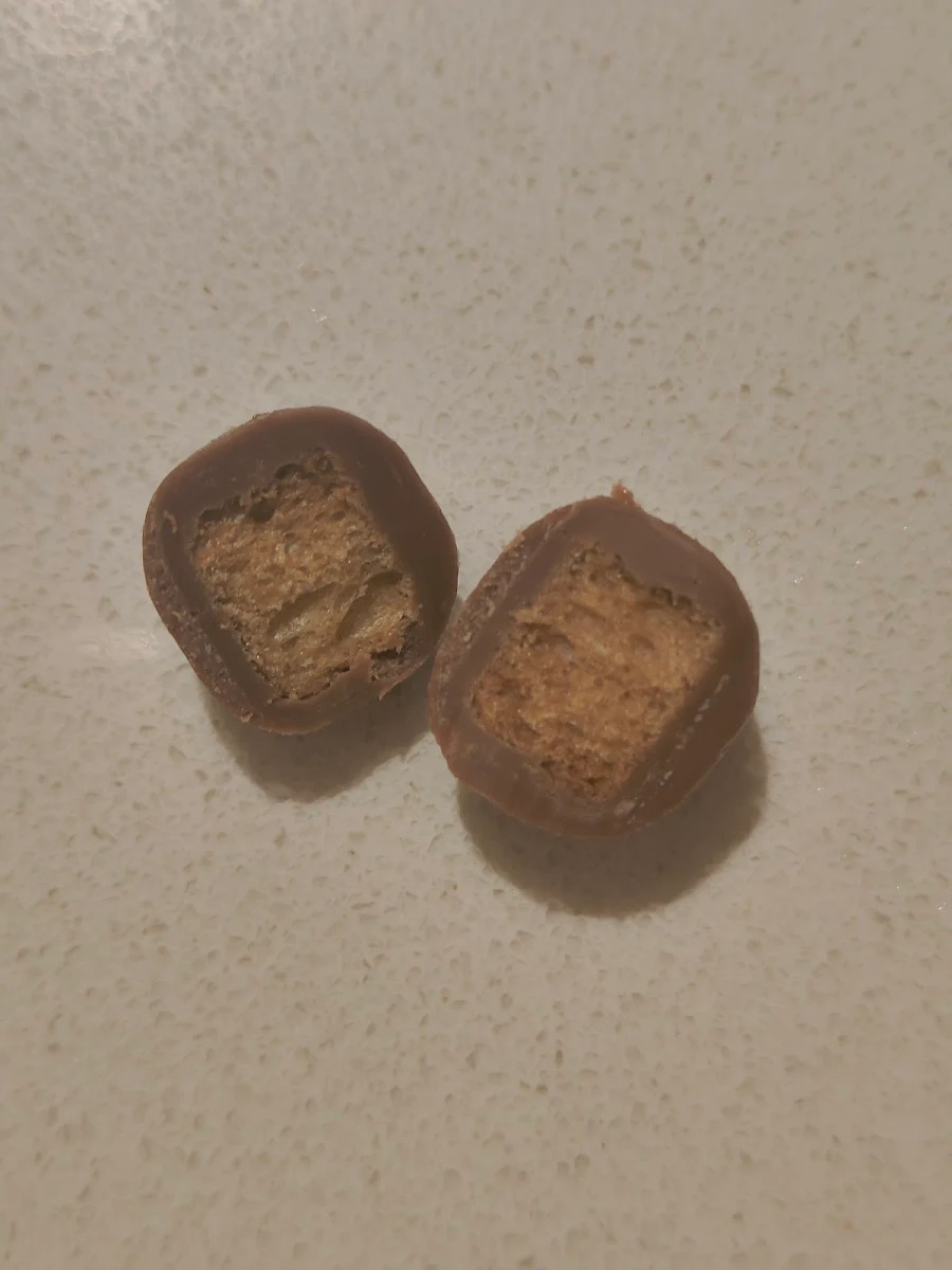 Praline, Koko Black - Royal Arcade