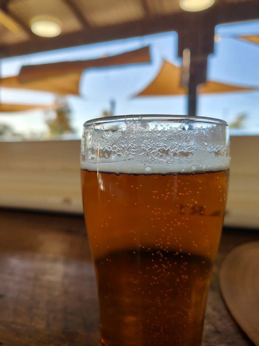 Beer