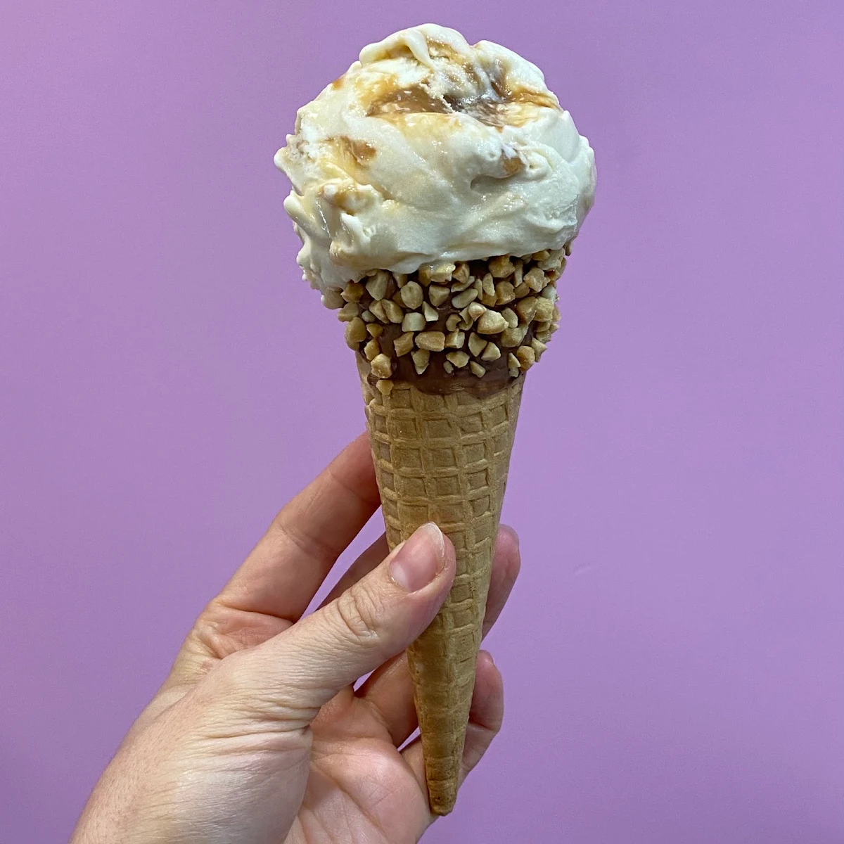 Highlights, Gold Coast Gelato