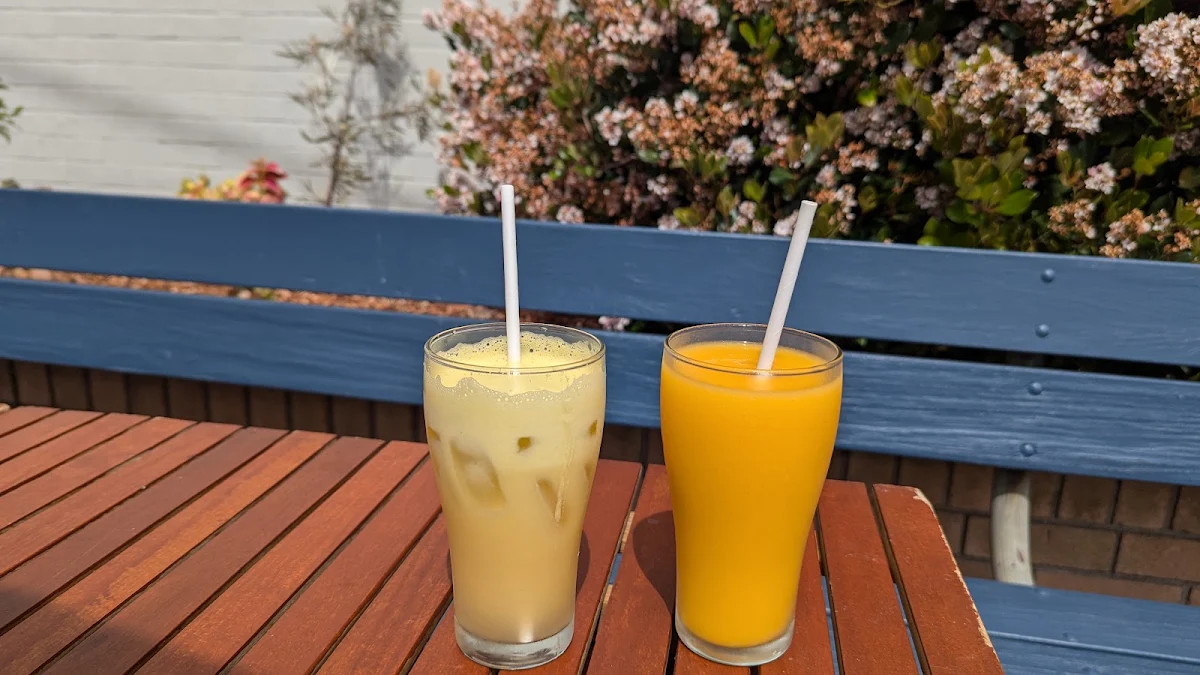 Plant Based Smoothies