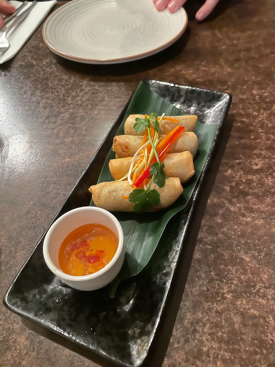 Vegetarian Spring Roll - 4 Pieces