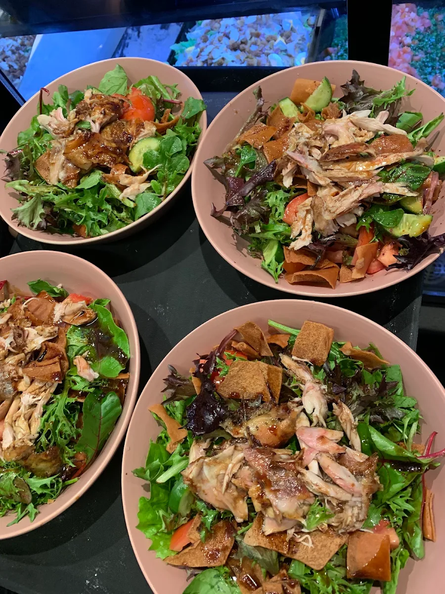 Highlights, Sydney & Co