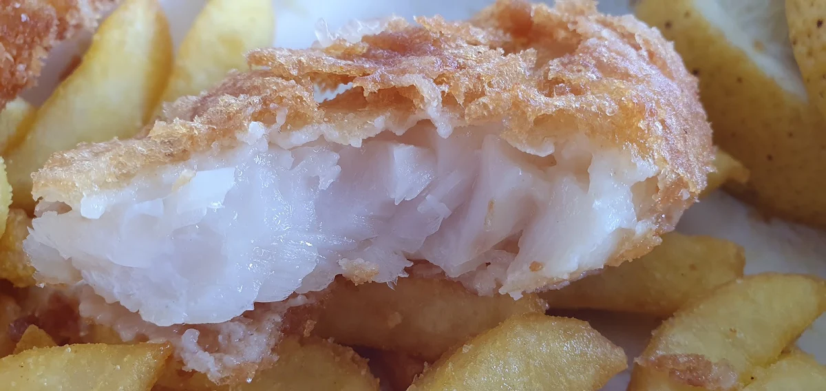 Highlights, Balaclava Fish