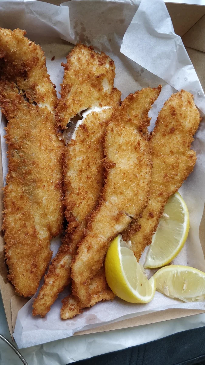 Snapper, Balaclava Fish