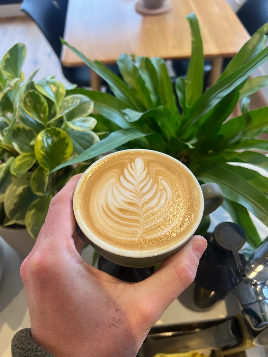 Highlights, South Melbourne Coffee House