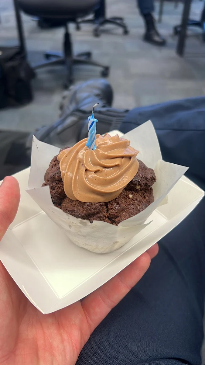 Highlights, South Melbourne Coffee House