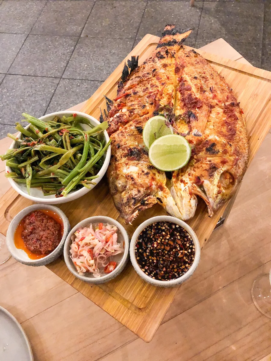 Snapper, Lontara