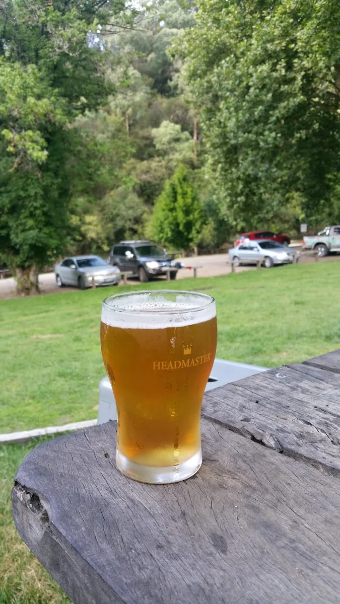 Beer