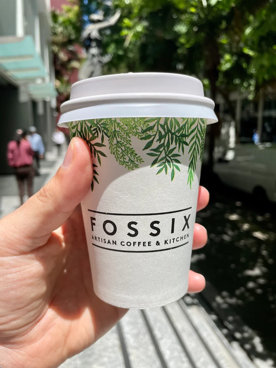 Highlights, Fossix Pitt St
