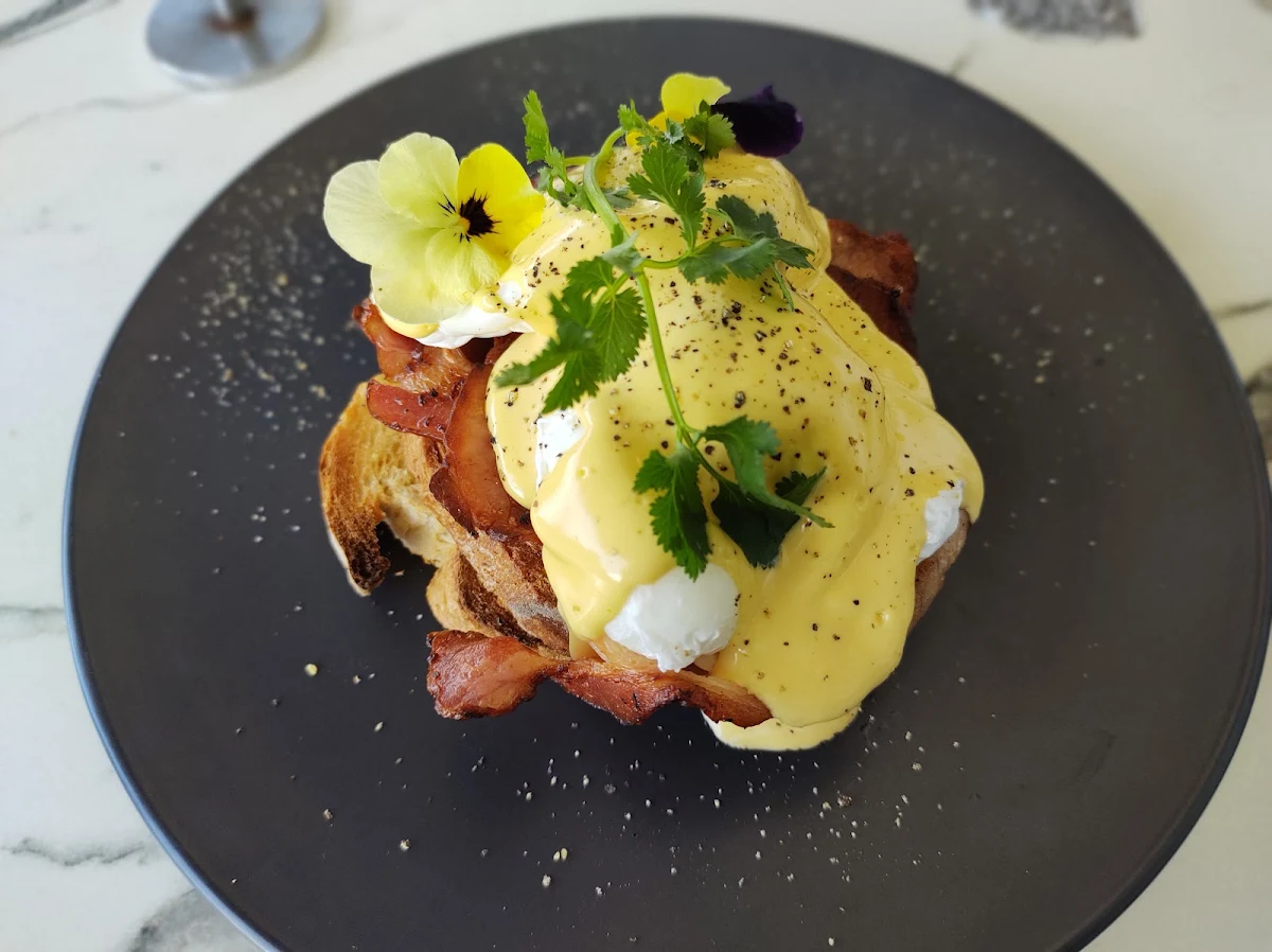 Highlights, Plated cafe | restaurant | bar