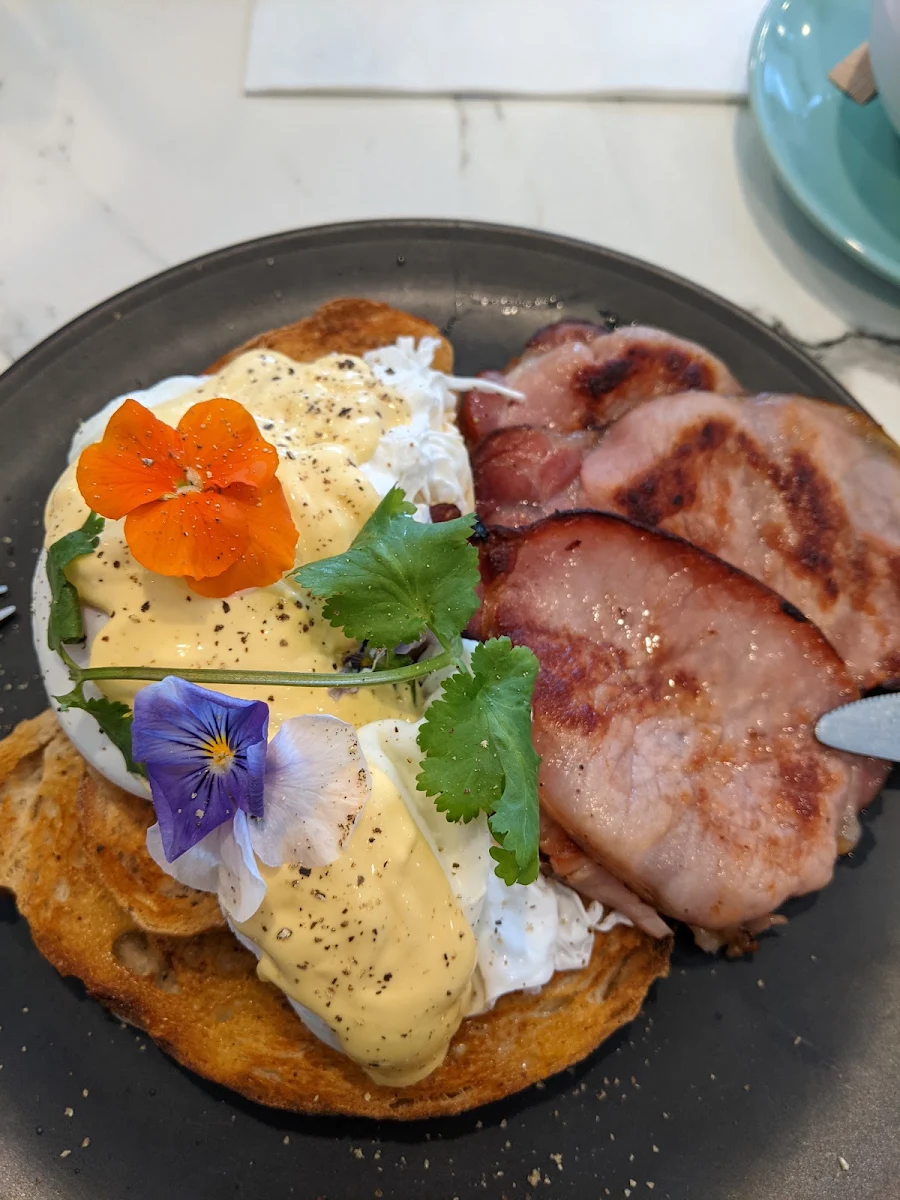 Highlights, Plated cafe | restaurant | bar