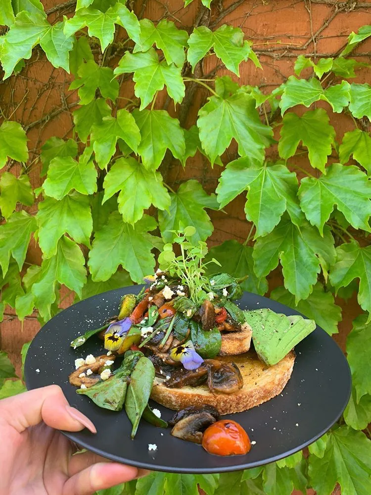 Highlights, Plated cafe | restaurant | bar