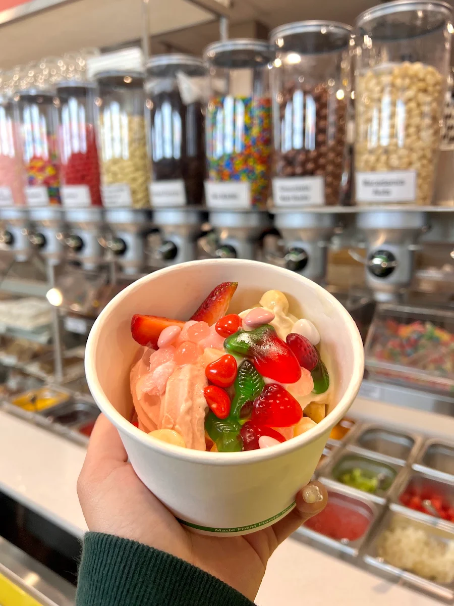 Frozen Yogurt, Europa at the Bay