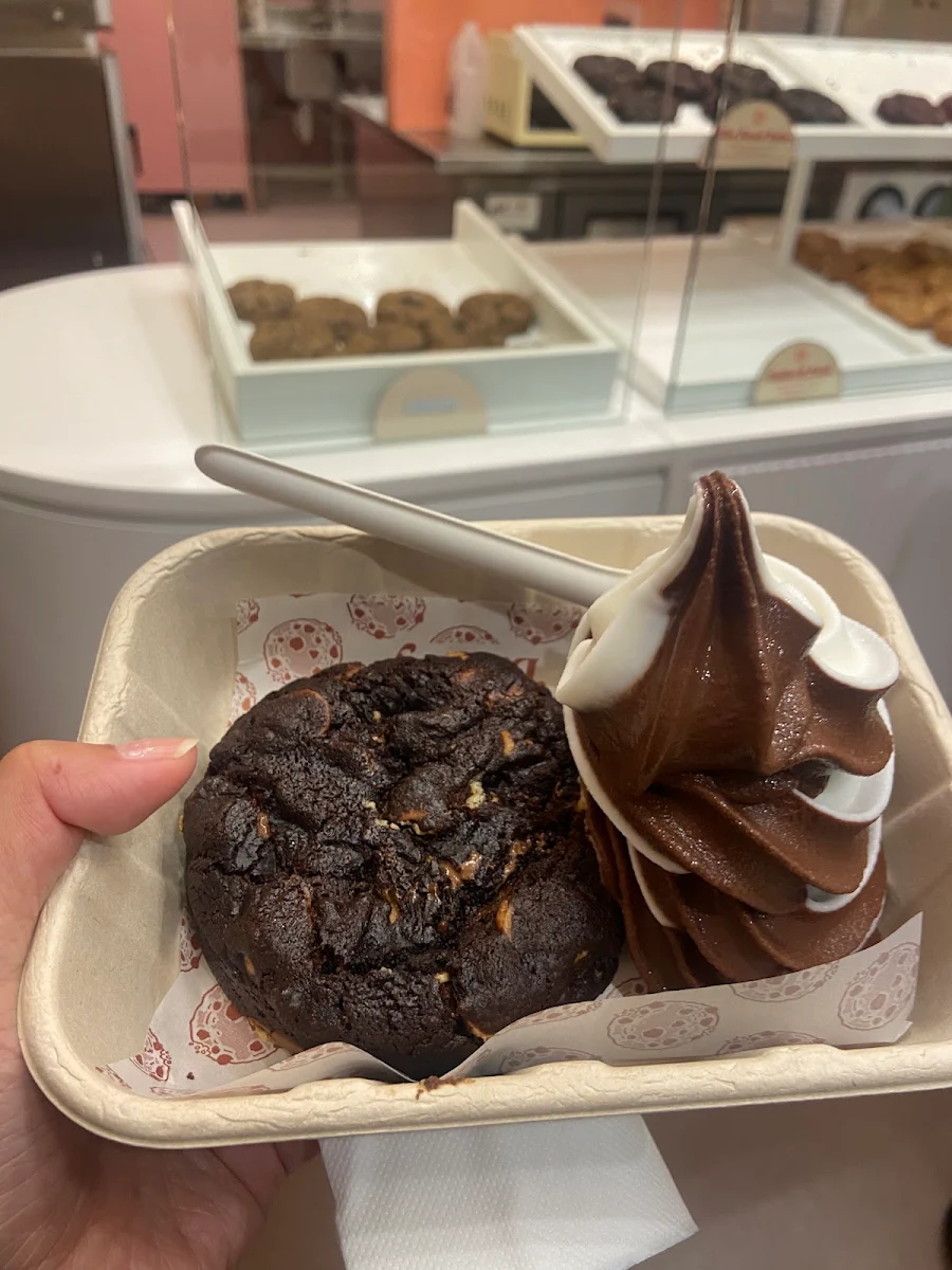 Highlights, The Confectionist - CBD