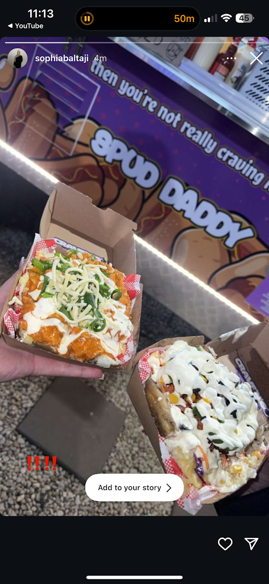 Highlights, Spud Daddy Campbellfield