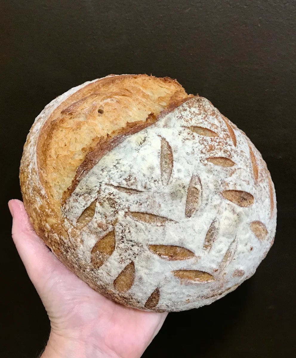 Highlights, Noosa Outlook Bakery