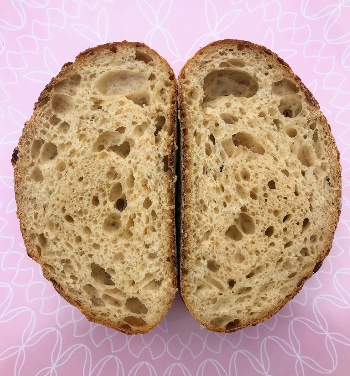 Highlights, Noosa Outlook Bakery