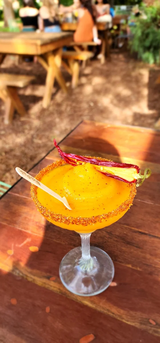 Frozen Margaritas, Cartel Taqueria - Qbn