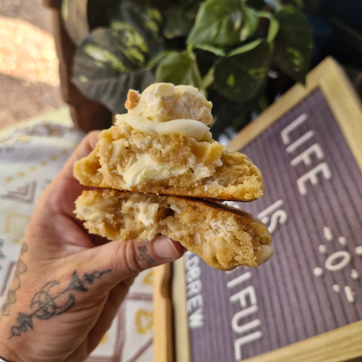 Highlights, THE WILD BREW CAFE