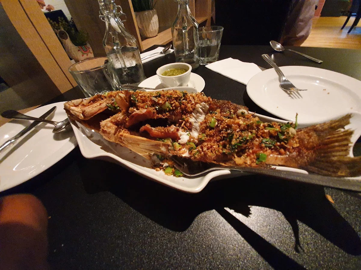 Fried Fish, Cattleya Thai Restaurant