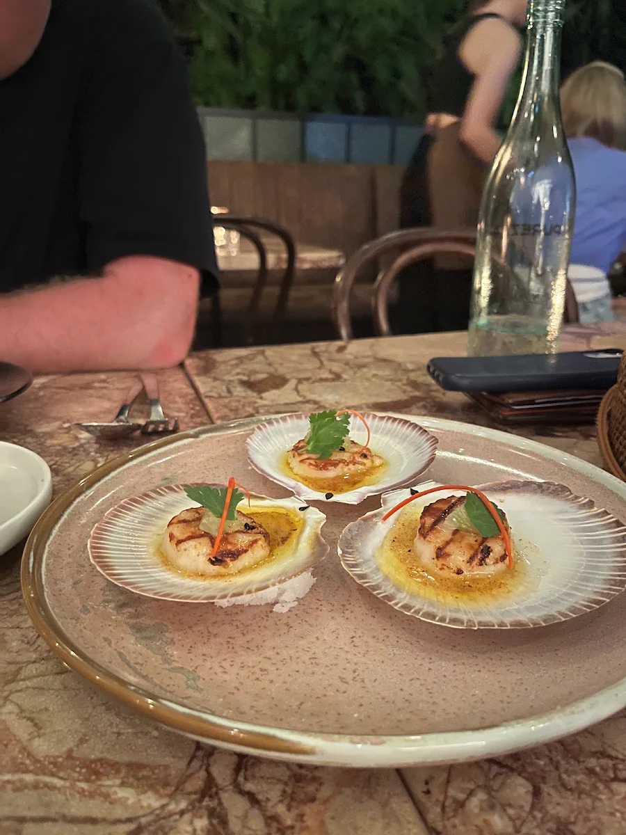 Seared Scallops, Bang Bang Noosa