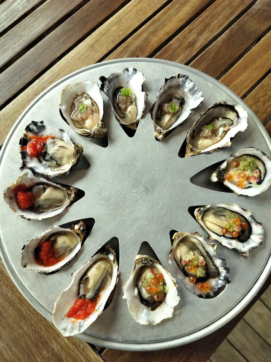 Highlights, Fishers of Freycinet