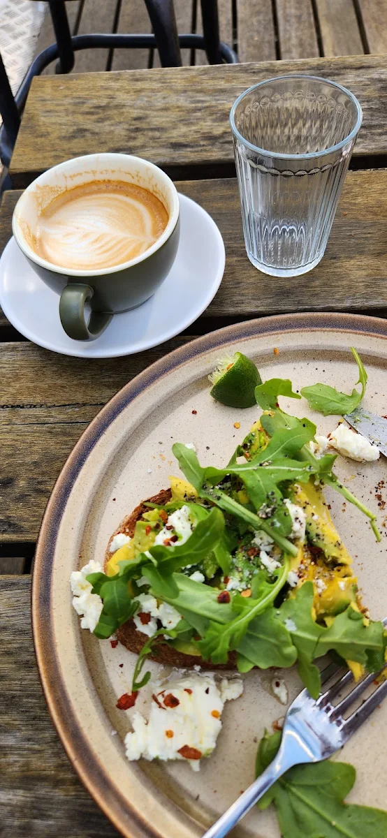 Avo, Lampshade Cafe
