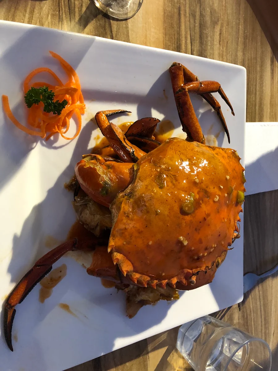 Chilli Mud Crab