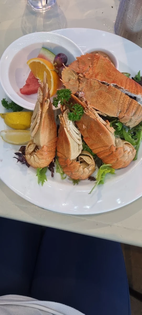 Morton Bay Bugs