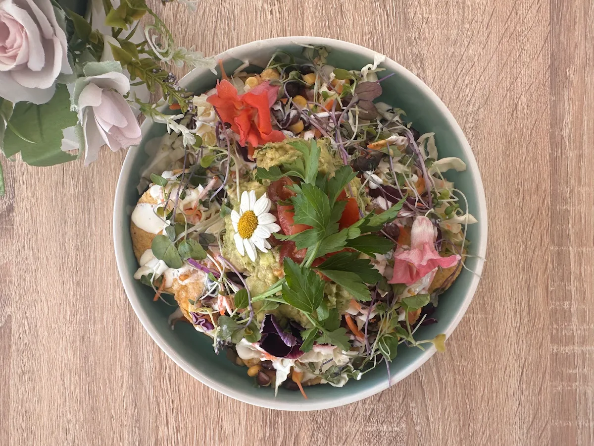 Highlights, Back to Basics Organic Cafe