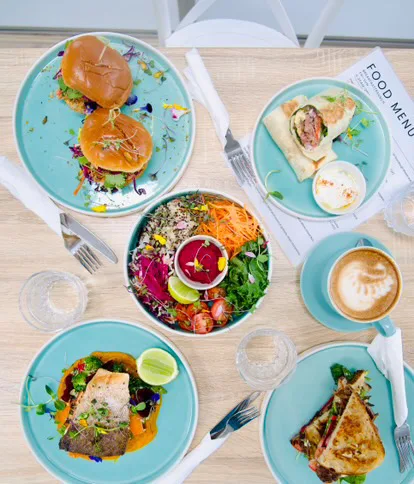 Highlights, Back to Basics Organic Cafe